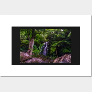 waterfall Posters and Art